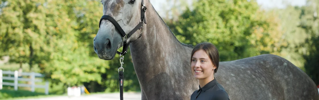 Lemieu Pferd Geschaft 9 Lemieu Pferd Geschaft -Lemieu Pferd Geschaft 1798484082 4fafd576698759a2eb2bc16190afa316a9f32872933b85c7c914bdb046cf8564 d